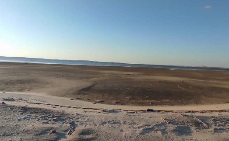 بالصور: رعب من انحسار المياه في سيناء لأول مرة