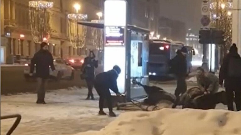 فيديو يوثق لحظة صعق حصانَين بالكهرباء