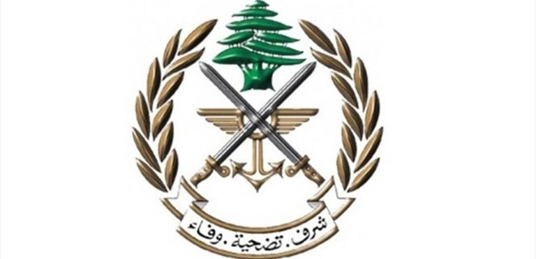 الجيش: ضبط سيارات مسروقة وممنوعات في البقاع