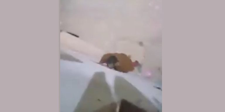 فيديو صادم.. حارس يتلصص على طالبات بسكن الجامعة