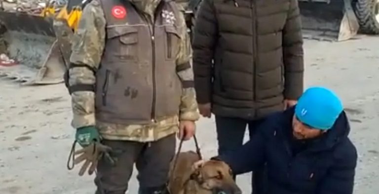 كلبة تنقذ 12 شخصاً بزلزال تركيا