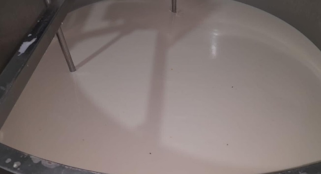 في هذه المنطقة.. مصادرة حليب يحتوي على حشرات!