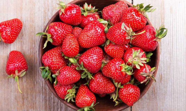 طفل يفارق الحياة.. والسبب قطعة فراولة