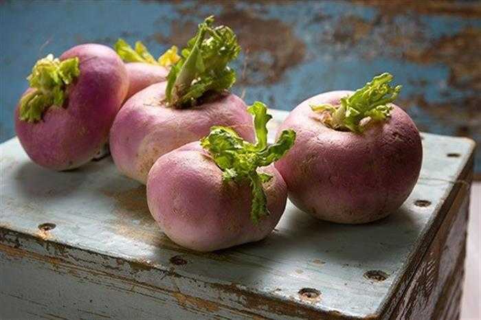 أثار إيجابية لتناول اللفت على صحة الإنسان.. إليكم أبرزها