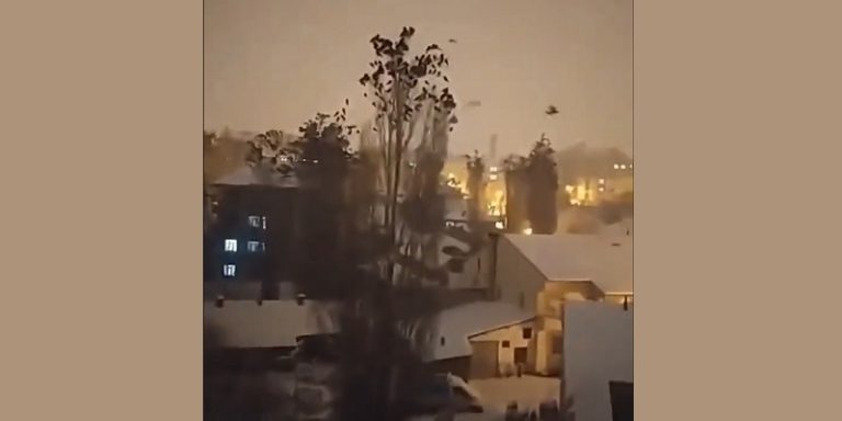 بالفيديو: هل أنذرت الطيور بالزلزال؟