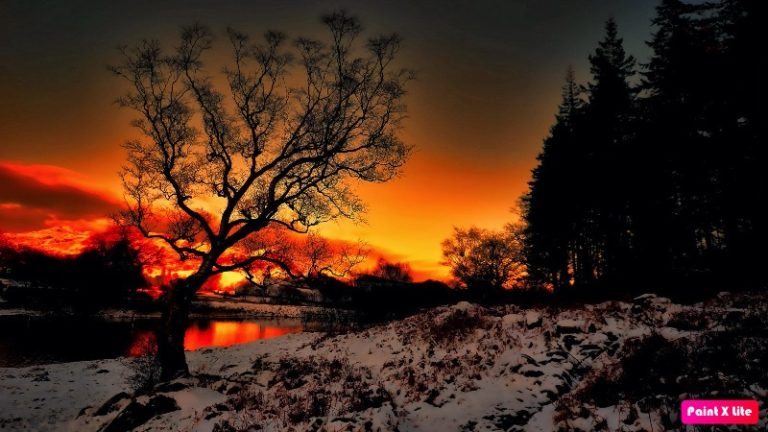 “الشتاء الغريب”.. العالم يرصد تقلبات كبرى في الحرارة