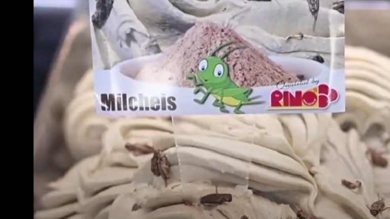 بالفيديو: آيس كريم بنكهة الصراصير!