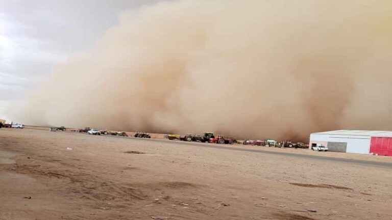 بالفيديو: عاصفة جدارية تضرب شمال السعودية
