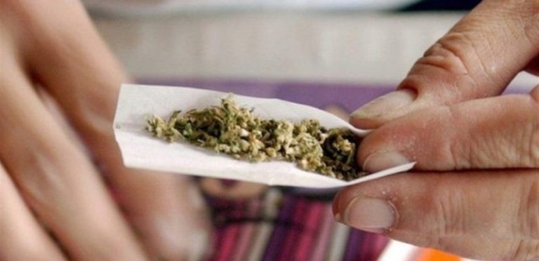 حشيشة الكيف