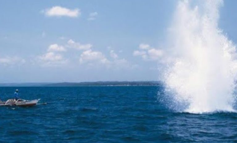 نداء من اهالي المنية لوضع حد للصيد البحري عن طريق المتفجرات