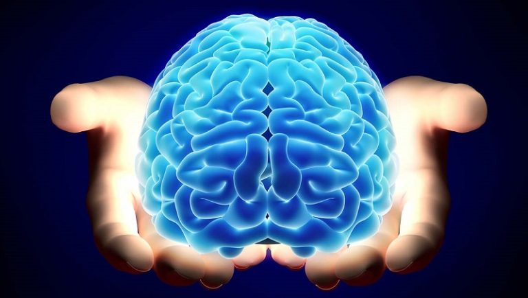 الدماغ