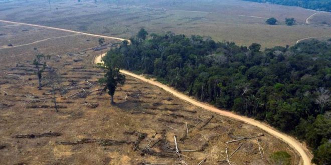 الأرض تخسر ثوبها الأخضر!