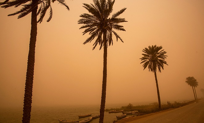 بالفيديو.. “غبار المنازل” يتحول الى أموال!