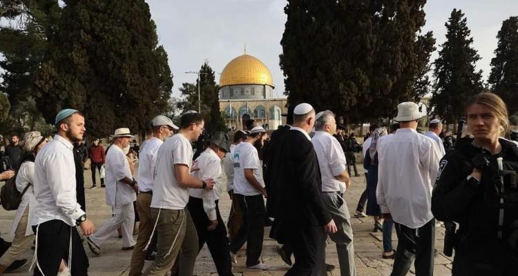 بالفيديو.. المستوطنون يقتحمون باحات المسجد الأقصى بحماية أمنية