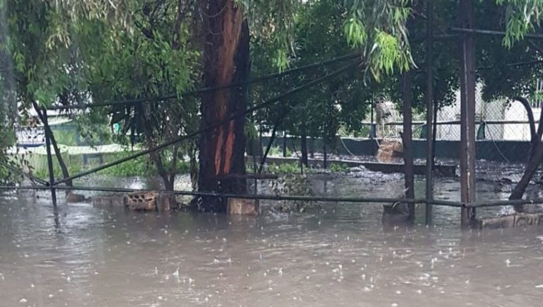 بالصور.. السيول تجتاح منطقة الجناح
