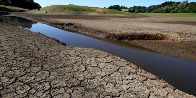 أنهار جافة وموجات حر قياسية وحرائق.. ماذا يحدث في أوروبا؟