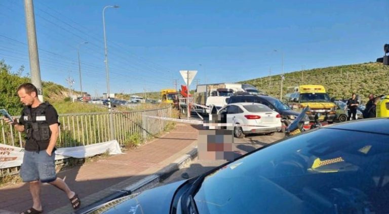 بالفيديو: الاحتلال يعدم فلسطينياً بزعم تنفيذ عملية طعن