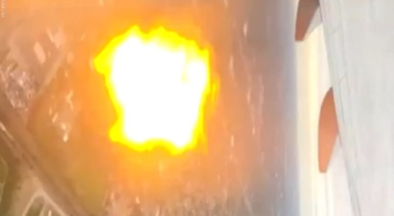 بالفيديو: طائر يصطدم بطائرة ويشعل حريقاً