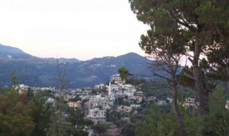 في الشوف.. قطع أشجار وصرخة من الأهالي