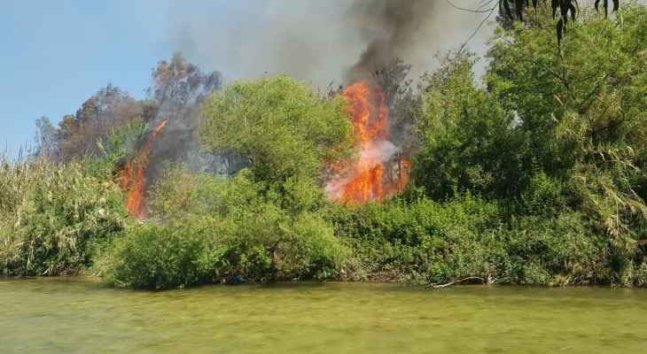 بالصور.. حريق كبير على ضفة الأولي في صيدا
