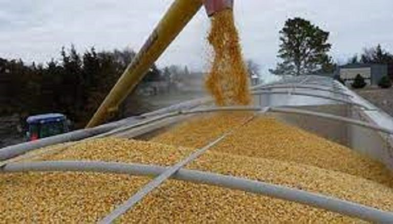 صادرات الحبوب