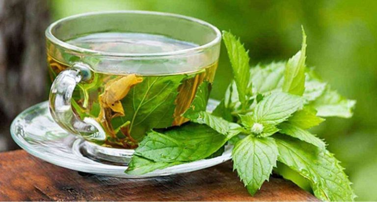 الشاي الأخضر