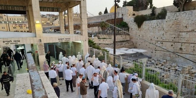 بالفيديو.. 7 مجموعات من المستوطنين تقتحم المسجد الأقصى