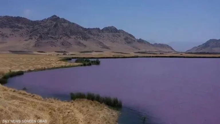 مأساة في البقاع!