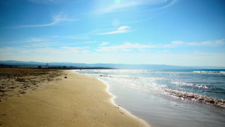 بعد غرق 7 أشخاص… إخلاء شاطئ صور