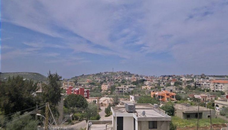 أنصار جنوب لبنان