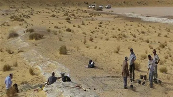 اكتشاف أحافير لمفصليات أرجل يعود تاريخها إلى 420 مليون سنة بالصين