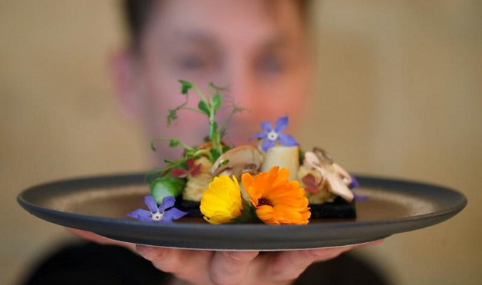 مقرمشات من الدود بنكهات طبيعية: هل تكون الحشرات حلاً للأزمات الغذائية؟