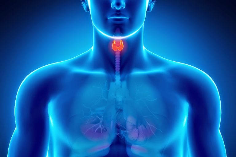 الغدة الدرقية