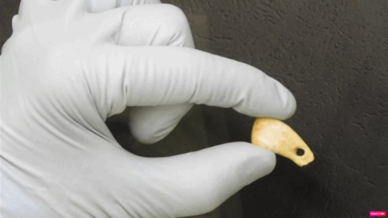 حمض نووي بشري على قلادة عمرها 20 ألف سنة!