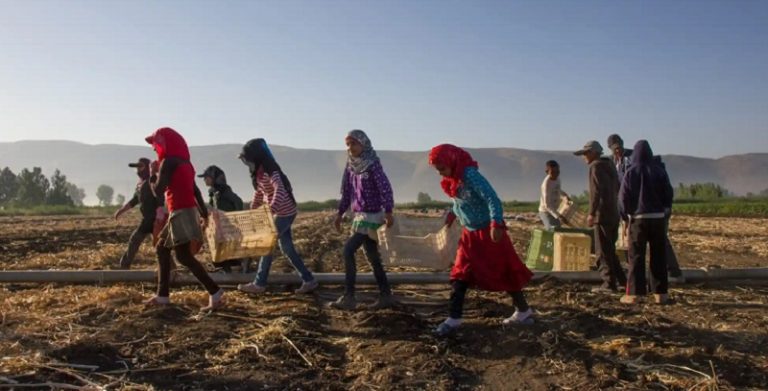 النازحين السوريين