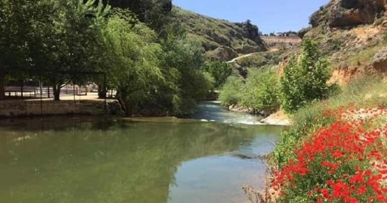 مصلحة الليطاني