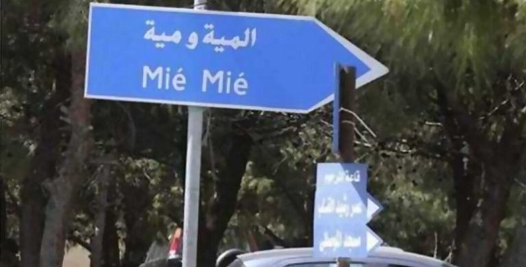 قتيل بانفجار قنبلة في مخيم المية ومية