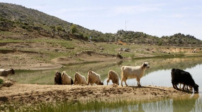 بالصور- “قرون المواشي”.. أحدث وسائل “إسرائيل” لتحذير لبنان!