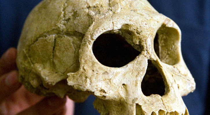 أكلة لحوم البشر.. حقيقة صادمة عن أسلافنا!