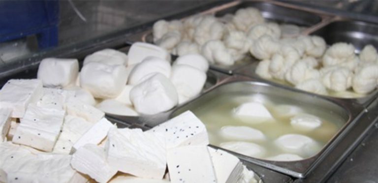 صرخة في بعلبك.. لتحسين جودة إنتاج الأجبان والألبان