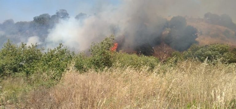 بالصور.. حريق كبير في أحراج بلدة منجز العكاريّة