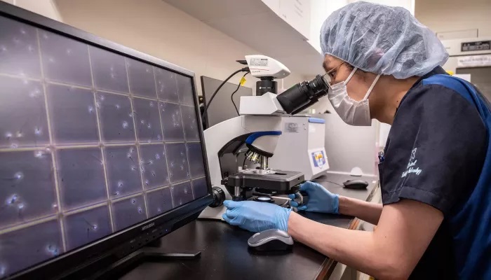 “خصوبة العالم” تنهار.. ماذا يعني ذلك؟