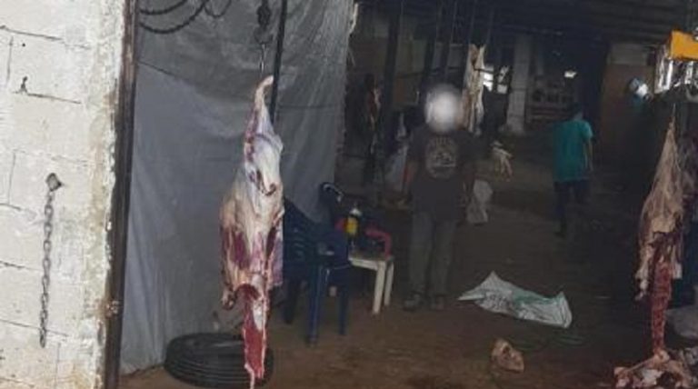 في زغرتا.. ذبح أبقاراً مريضةً وباعها للملاحم