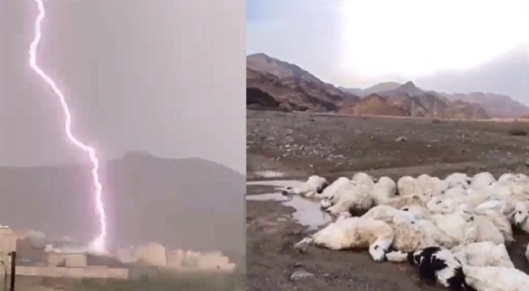بالفيديو: صاعقة تقتل راعٍ وقطيع أغنام