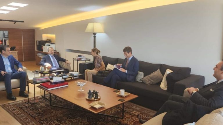 باسيل يبحث وسفيرة إيطاليا أزمة النازحين