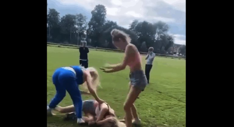 بالفيديو: مراهقة تتعرّض للّكم والضرب في حديقة!