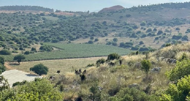 الحدود الجنوب