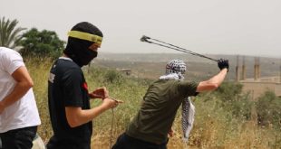 قلقيلية فلسطينيين مقاومة