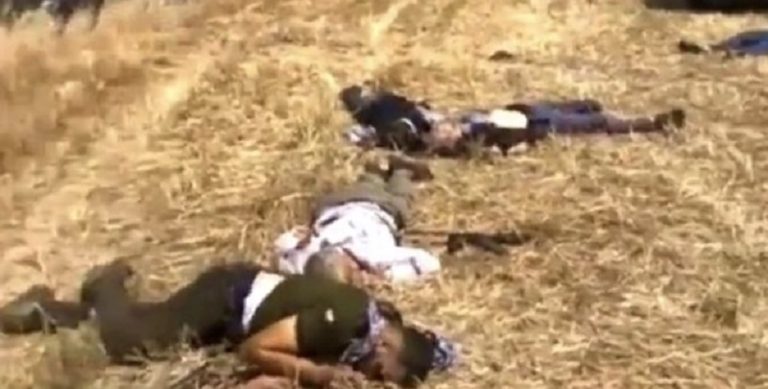 بالفيديو: 9 قتلى وجريحان بنزاع على قطعة أرض