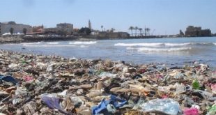 شواطئ لبنان تلوث